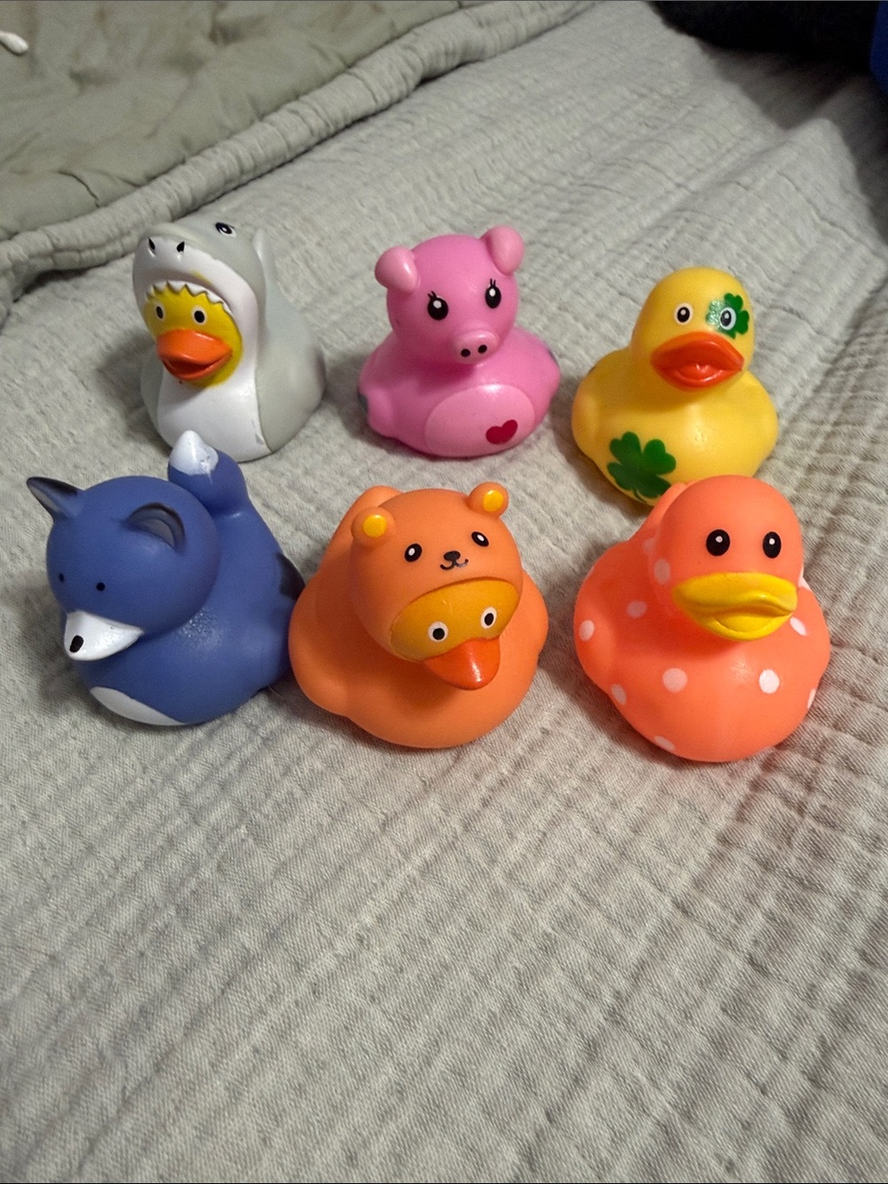 6 Rubber Ducks! Cute designs, perfect for jeeps, baths, or duck races 🐥🐥🦆